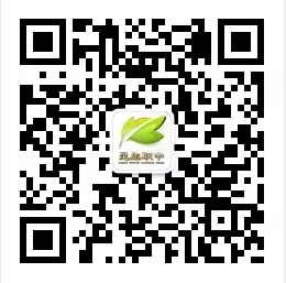 1750667926945035615.png